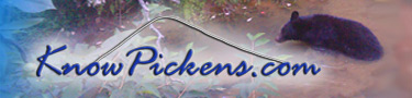KnowPickens.com - Jasper Georgia Mountains