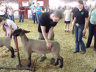 Pickens County 4-H Competes in Livestock Judging