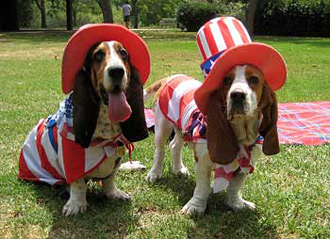 The Fourth of July and Your Pet