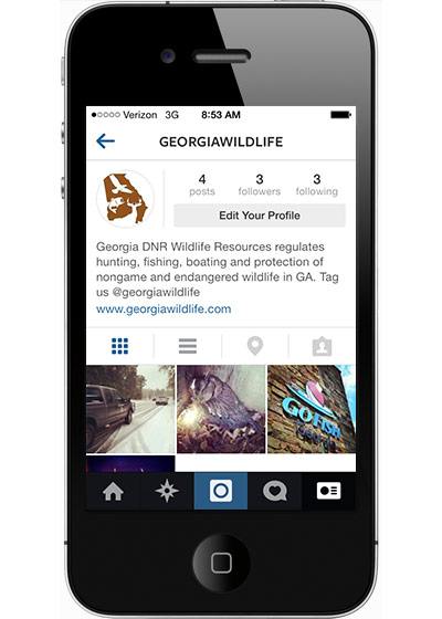 ENJOY GEORGIA WILDLIFE IMAGES FROM DNR ON INSTAGRAM