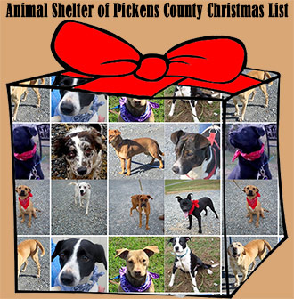 Animal Shelter of Pickens County Christmas List