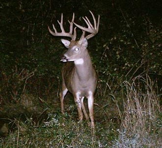 HUNTERS READY FOR 2012 FIREARMS DEER SEASON BEGINNING OCTOBER 20