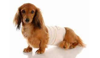 Wound Care