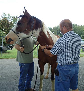 Happenings at the Jasper Farmers Market