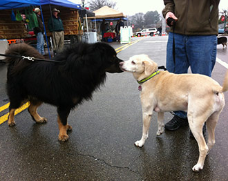 Jasper Farmers Market; That’s all folks (for this year)