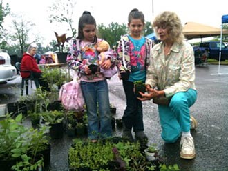 Plant Vendor’s Reign at the Jasper Farmers Market