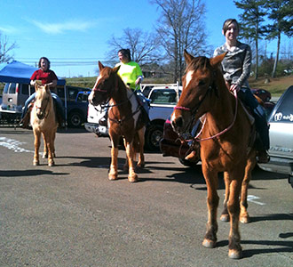Horses visit the Jasper Farmers Market
