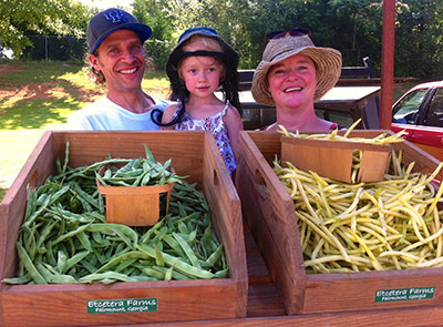 Beans, Squash, Cucumbers at the Jasper Farmers Market