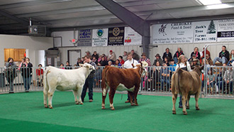 LOCAL LIVESTOCK SHOW PLANNED