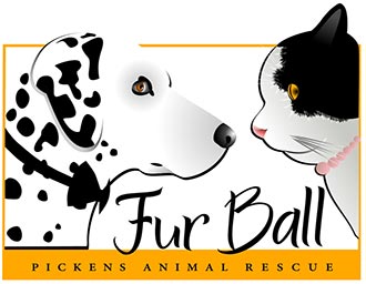 Earlier Date and New Venue for This Year's Fur Ball