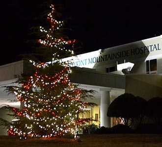 Honor Someone on the Love Light Tree at Piedmont Mountainside Hospital