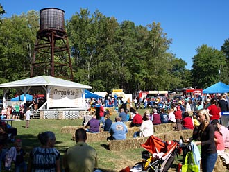 Volunteers Needed for the Georgia Marble Festival