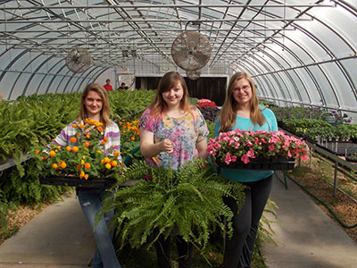 PICKENS HIGH HORTICULTURE PLANS PLANT SALE