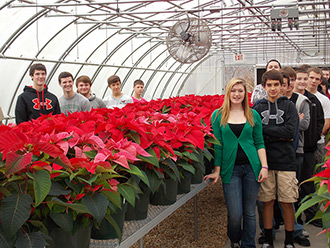 DECK THE HALLS WITH PHS POINSETTIAS