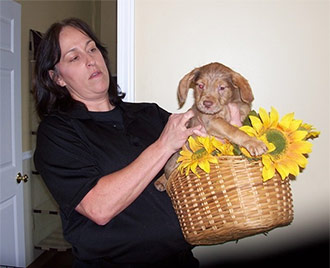 A Basket Full of Sunshine! at the May 25th DROP BY & DONATE DAY at the Pickens County Animal Shelter
