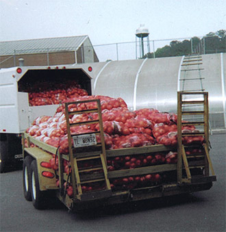 Vidalia Sweet Onions: Do You Remember...