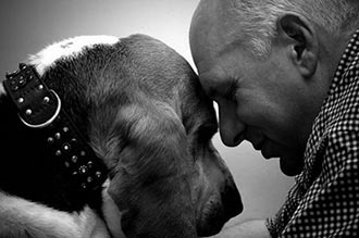 Coping With the Loss of a Pet