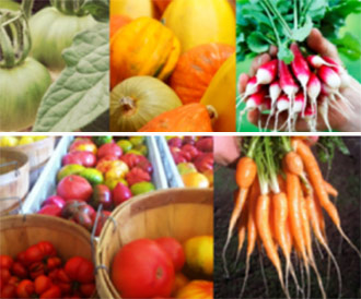Be a part of Wolfscratch Farm 2014 CSA!