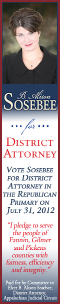 Vote B. Alison Sosebee for District Attorney Appalachian Circuit