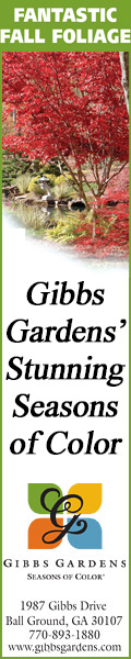 The Bent Tree Strings at Gibbs Gardens on Memorial Day weekend