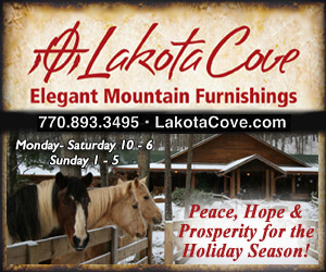 Lakota Cove - A Rustic Elegant Gallery
