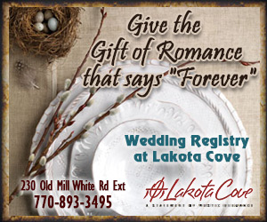 Lakota Cove Gala Artist Party February 9 from 1 to 4 p.m.