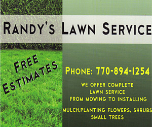 Randy's Lawn Service - Mowing & Installing