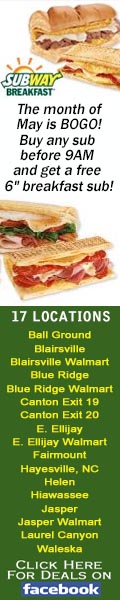 Subway Monthly Special