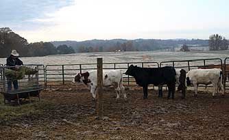 seventy ranch breakfast four bed pam martin butler larry knowpickens