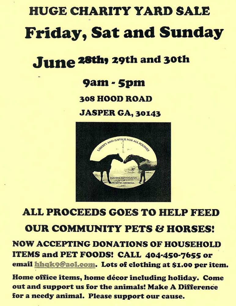 Huge Charity Yard Sale