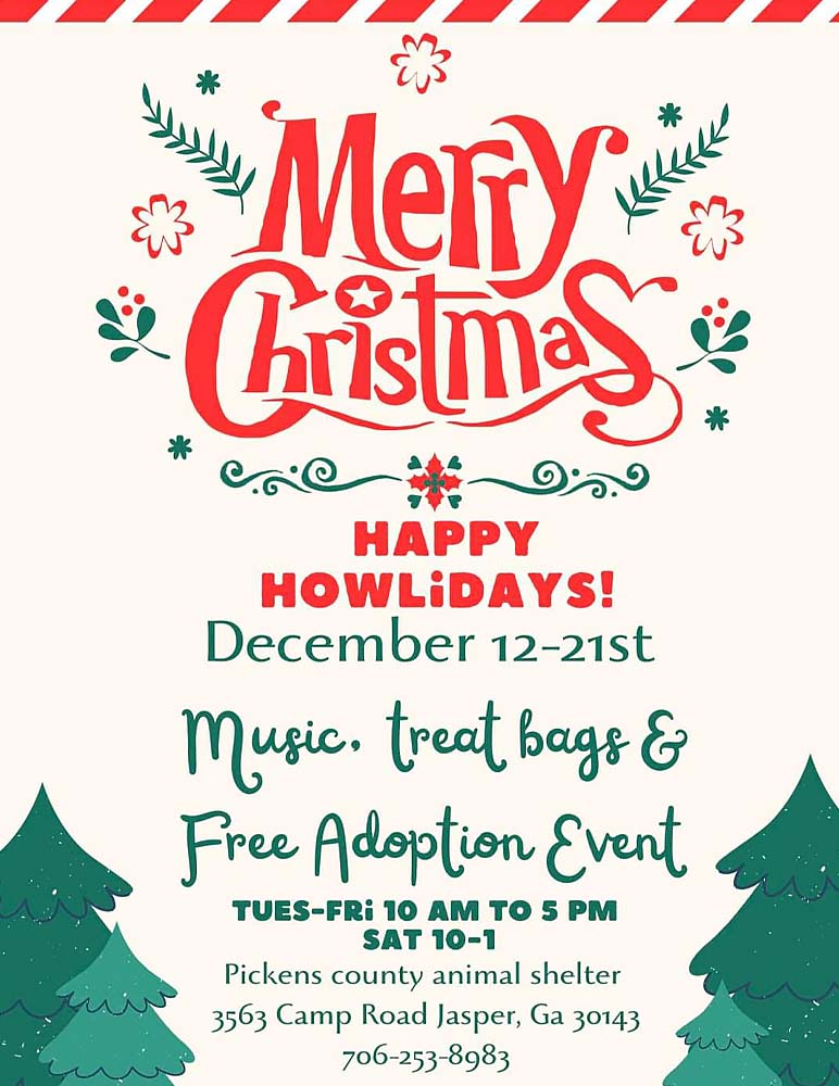 Thanksgiving Adoption Event