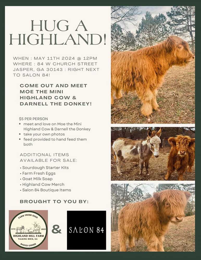 Hug A Highland