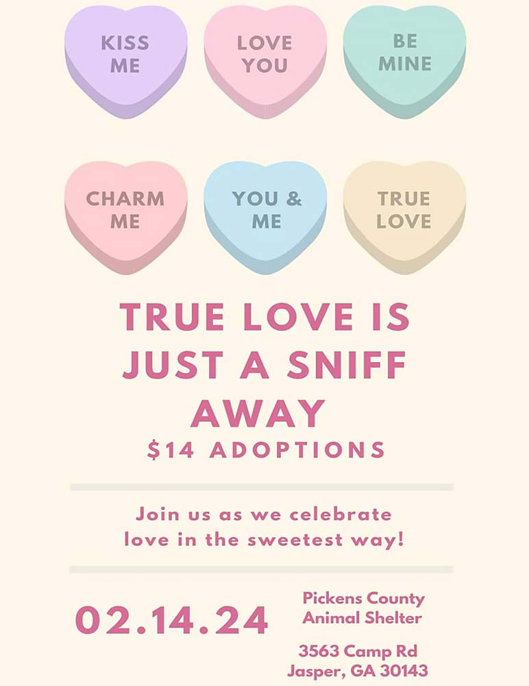 True Love Is A Sniff Away