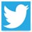 Visit Twitter Page