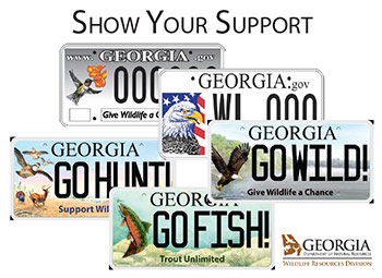 TAG FEE CHANGES GIVE GEORGIA’S  WILDLIFE A BETTER CHANCE