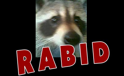 Rabid Raccoon Attacks Pickens County Woman