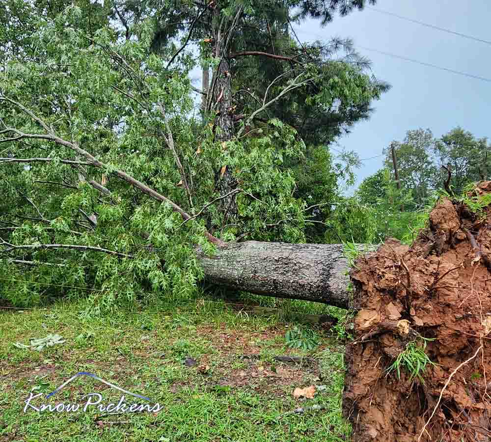 Two Tornadoes Confirmed From Thursday